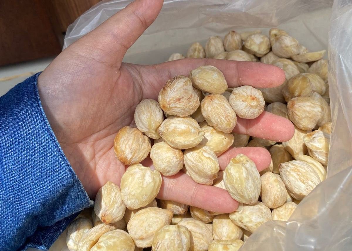 PT MALAYO ANUGRAH INDONESIA PRODUCT 10